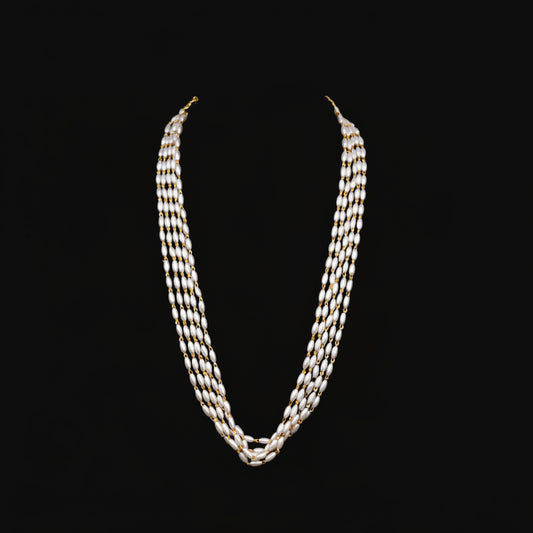 Silver chain necklace on a black background